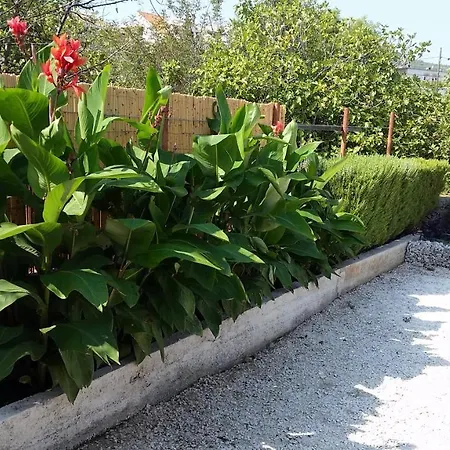 Apartment By The Sea Slatine, Ciovo - 4844 Slatine